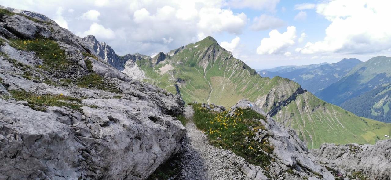 Sunalpin - Ferienwohnungen Schoppernau Exterior photo