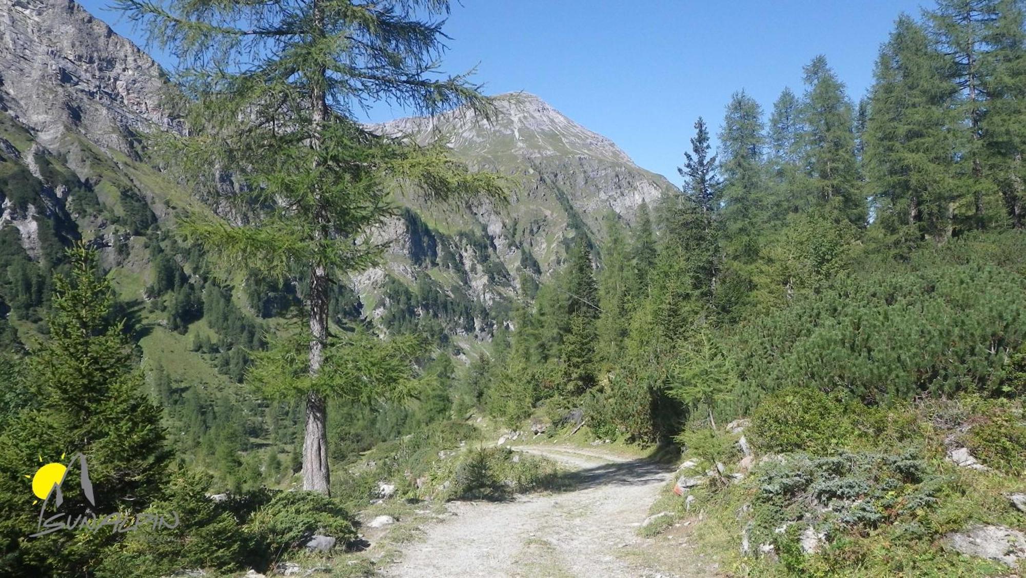 Sunalpin - Ferienwohnungen Schoppernau Exterior photo
